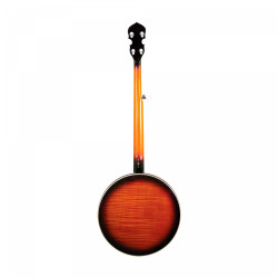 Gold Tone OB-250 - Banjo Bluegrass Orange Blossom (+ étui)