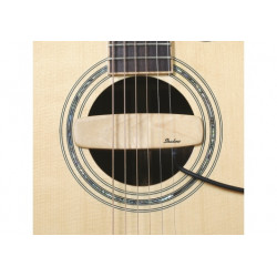 Shadow 330 - Micro Magnétique Guitare Rosace