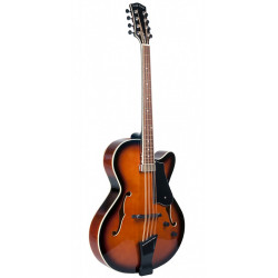 Goldtone MANDOCELLO - Guitare mandocello avec pickup (+ étui)