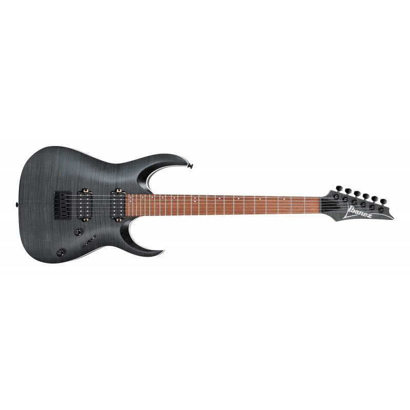 Ibanez RGA42FM-TGF - Guitare électrique - Transparent gray flat