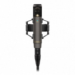 Sennheiser MKH 800 Twin Ni - Microphone électrostatique à condensateur HF, cardioïde x2