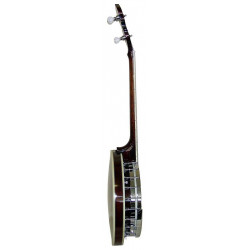 Gold Tone TS-250 - Banjo Tenor Special  (+ étui)