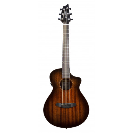 Breedlove WWT11CESU - Guitare électro acoustique - wildwood pro companion – suede