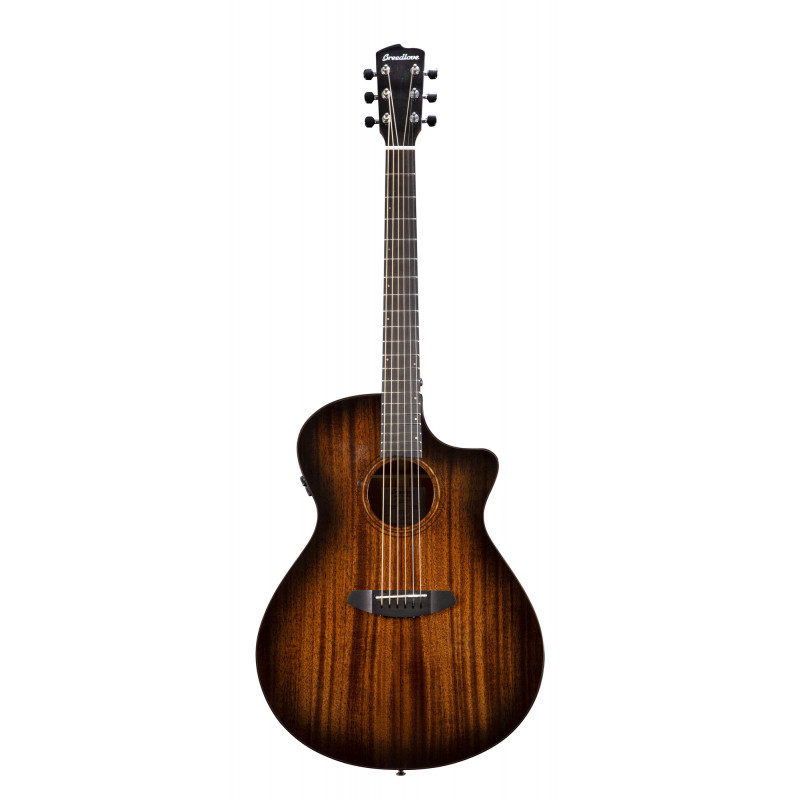 Breedlove WWO11CESU - Guitare électro acoustique - wildwood pro concerto - suede