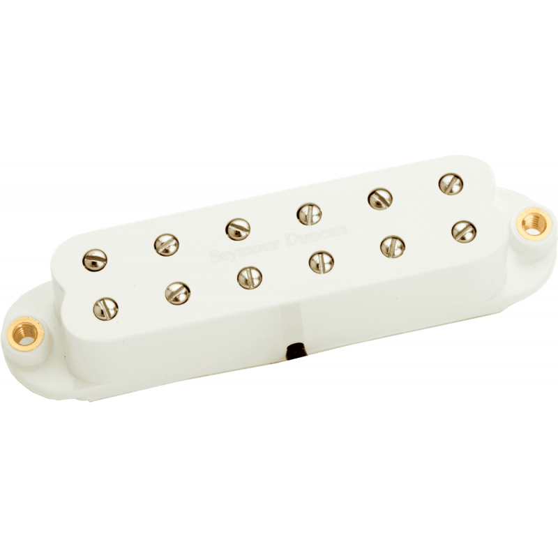 Seymour Duncan SL59-1N-P - Little '59 strat, manche, parchemin