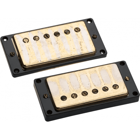 Seymour Duncan AN1805-GC - Antiquity humbucker kit gold