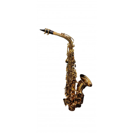 Saxophone Alto d'étude SML A420-II - occasion (+ étui)